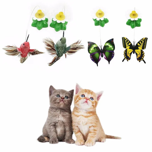 Electric Rotating Colorful Butterfly as Cat Toy