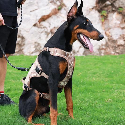 Large Dog Soft Adjustable Harness